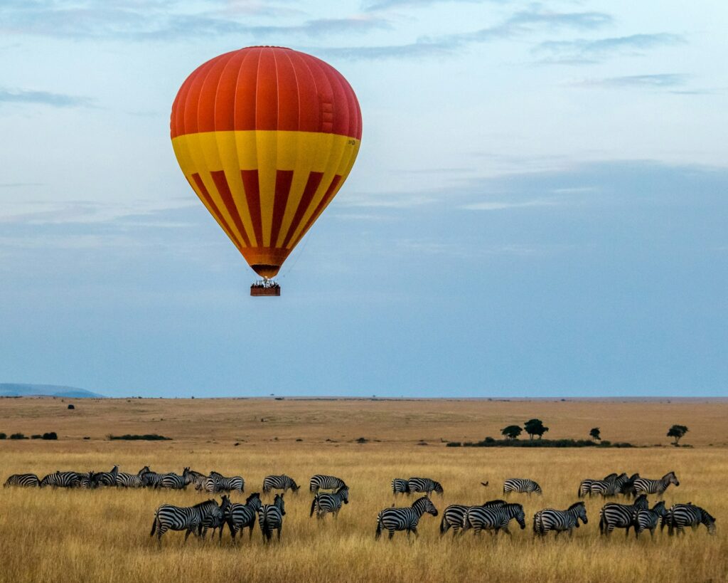 Red and yellow hot air balloon hovering over a field of Zebras